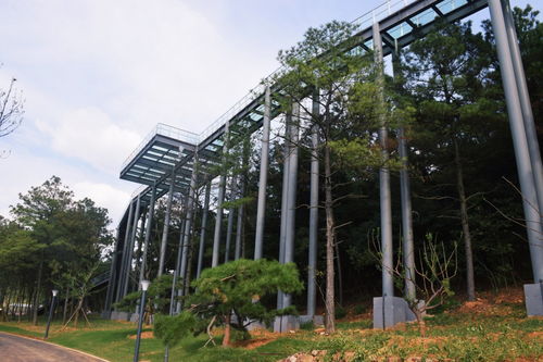 常州本土超大型企業拓展訓練首選 露營谷基地與其專業服務解析